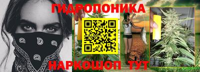 стафф Донецк