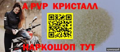 стафф Донецк