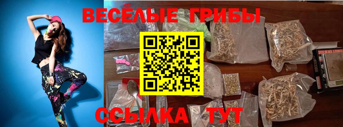 Галлюциногенные грибы Psilocybine cubensis  Псилоцибиновые грибы Cubensis  Вход с VPN  Энгельс 