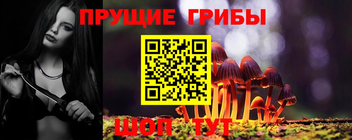 Галлюциногенные грибы прущие грибы Энгельс